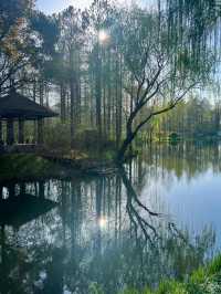 上海青西郊野公園｜上海避暑的水上自然園與綠野仙蹤