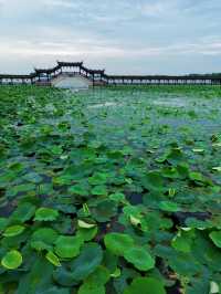 隱世小眾旅遊景點 | 距離上海只有1小時車程的錦溪古鎮。