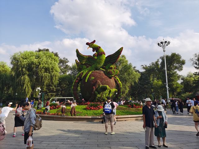 在路上：哈馬之旅——太陽島。