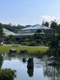 廣州華南植物園   天然氧吧