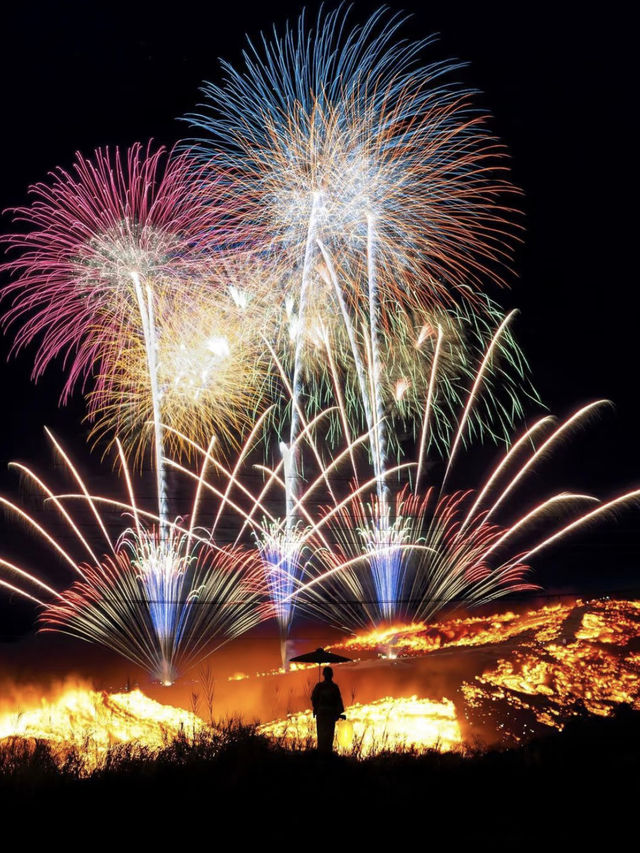 奈良燒山震撼美學！春節一定要去看的燒山祭