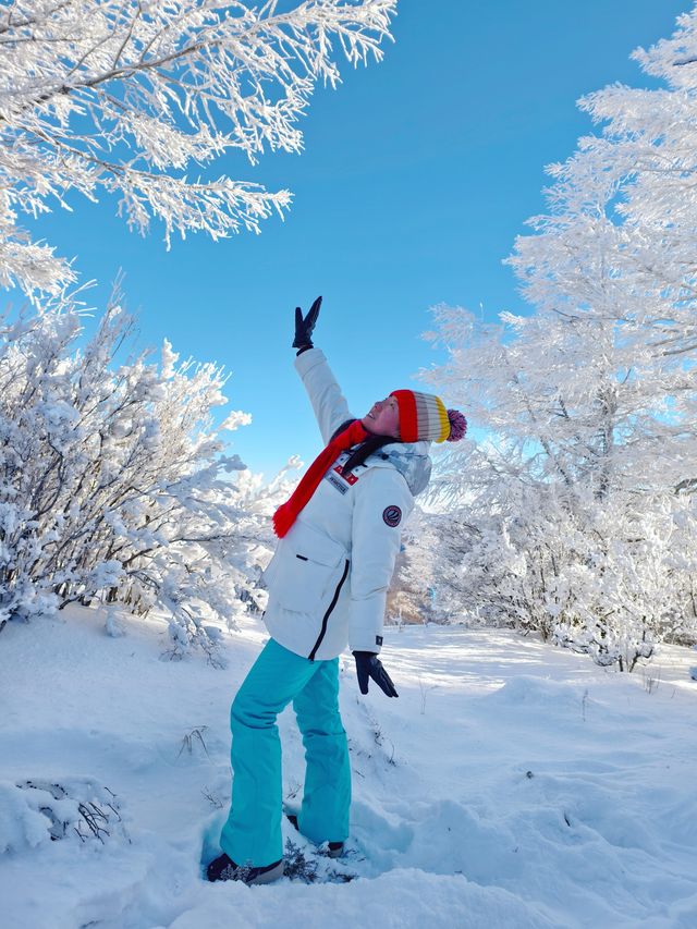 阿爾山白狼峰霧凇仙境裡的童話世界