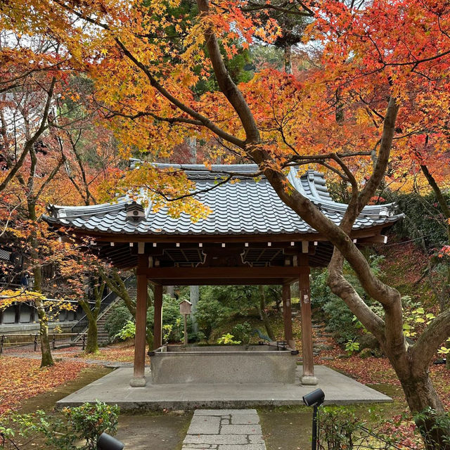 京都兩日遊：探索隱藏的寶石與寧靜之美