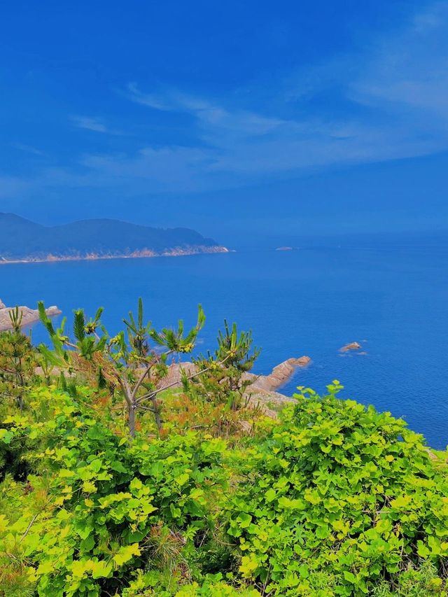 5日暢遊山東青島-威海-煙台 揭秘理想玩法速覽