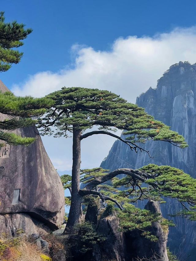 黃山4日遊看山看雲不踩雷