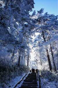 【雪域峨眉】冬季峨眉山，探秘冰雪世界的佛教聖地