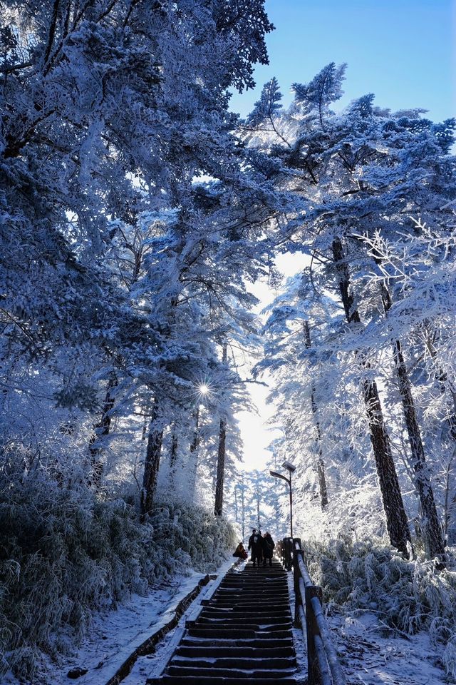 【雪域峨眉】冬季峨眉山，探秘冰雪世界的佛教聖地