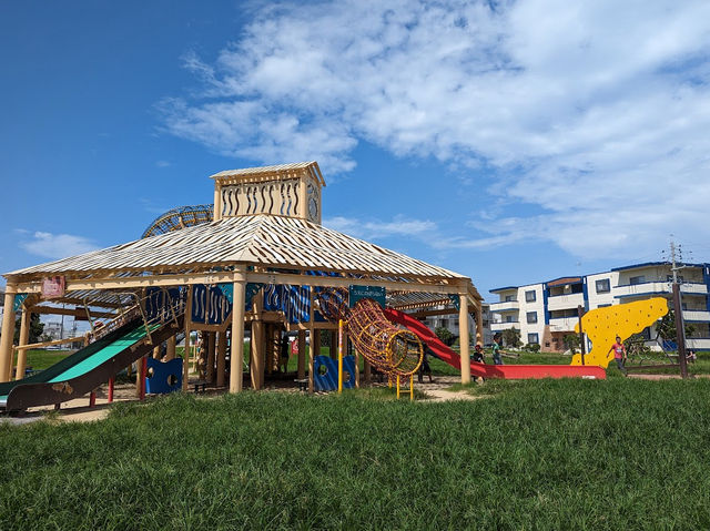 Full playground with giant slide, zip line