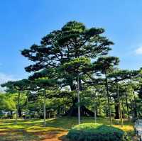 【金沢】冬だけじゃない！夏も美しい兼六園✨️