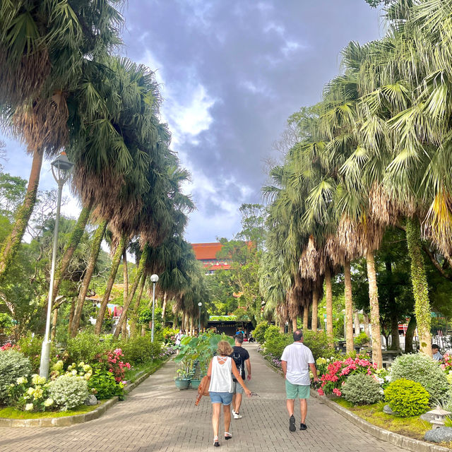 Don’t miss the visit to Big Buddha and the amazing crystal cable car