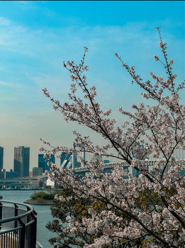 Spring Outing to Tokyo Bay 🌸🇯🇵