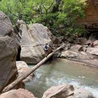 Zion National Park, Utah: A Hiker’s Paradise