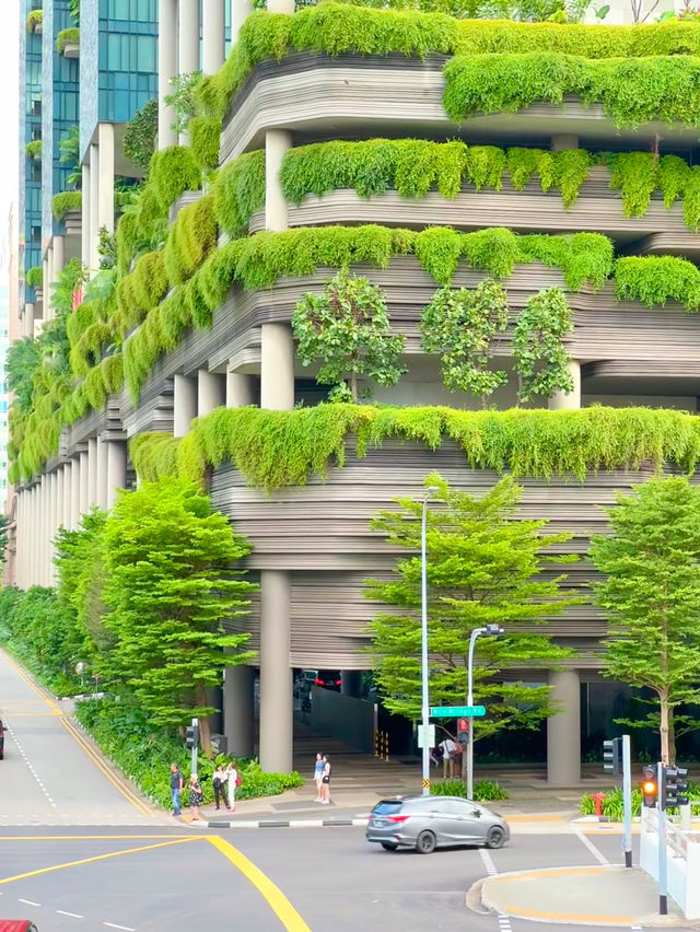 An awesome view of full singapore 🇸🇬 