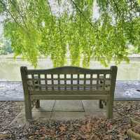 Strolling with serenity - Singapore Botanic Gardens