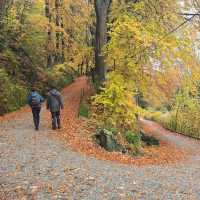 Bergen, Norway Mount Fløyen - Best Hiking & Sightseeing Place