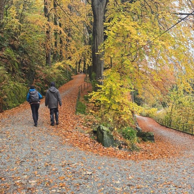 Bergen, Norway Mount Fløyen - Best Hiking & Sightseeing Place