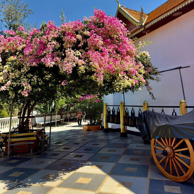 Discover the Serenity of Doi Suthep