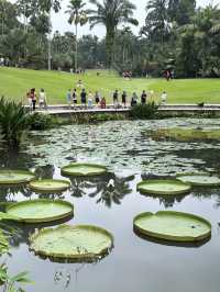 Singapore Botanic Gardens: A Tropical Haven in the City