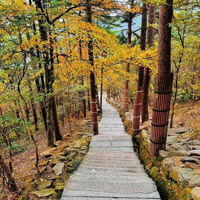 鷹峯山：雲霧秋日🏞️