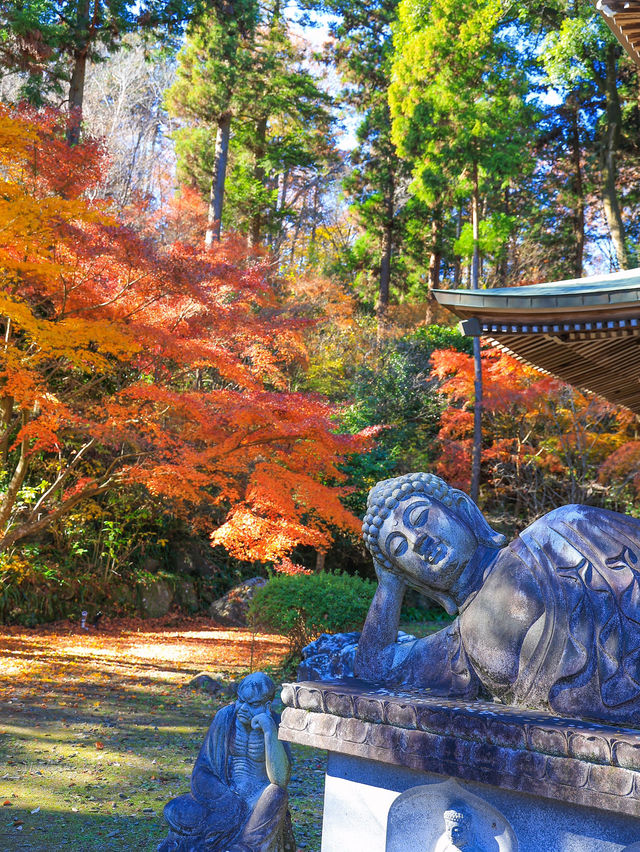 📍 【栃木】秋色に包まれ益子町の紅葉の名所