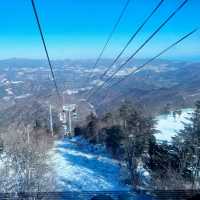 Magical Winter Wonderland at Yongpyong Ski Resort!