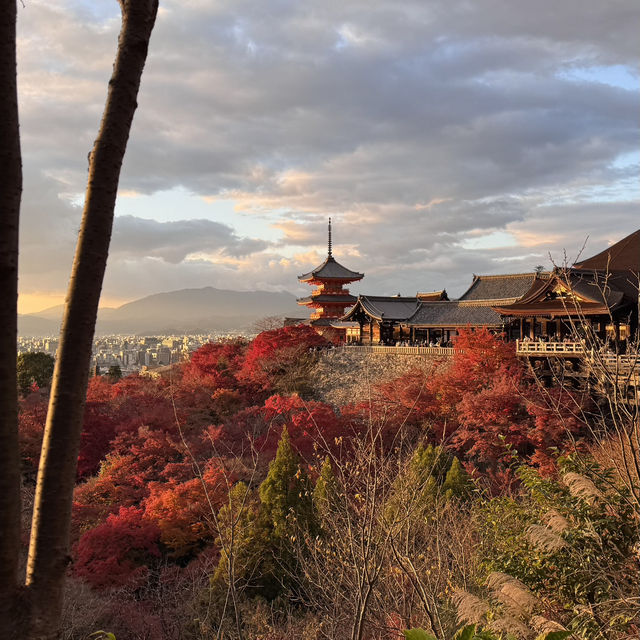 Sunset at Kiyomizudera and Strolling Through Sannenzaka & Ninenzaka