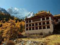 Best Autumn Viewing Experience 2/3 [Xiannairi Snow Mountain, Yading Nature Reserve]