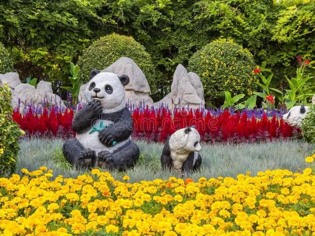 Dujiangyan China Giant Panda Garden 