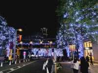 The magical illumination at Ropponggi Hills at Keyakizaka