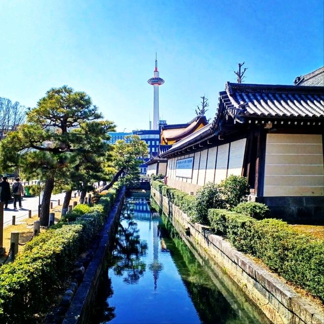 【京都】京都観光で京都駅に着いたら先ず行くべき神社仏閣 東本願寺