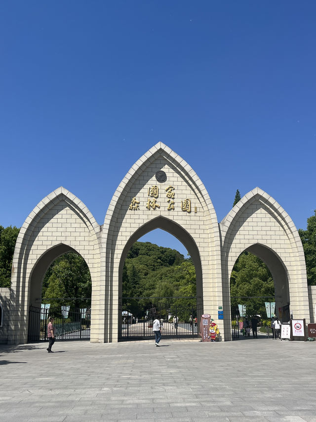 上海一日徒步丨佘山森林公園吸氧去班味