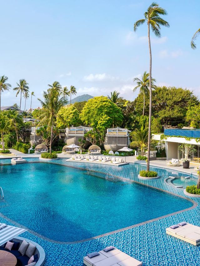 🌴 Koh Samui Escapes: Top Hotel Picks! 🏖️