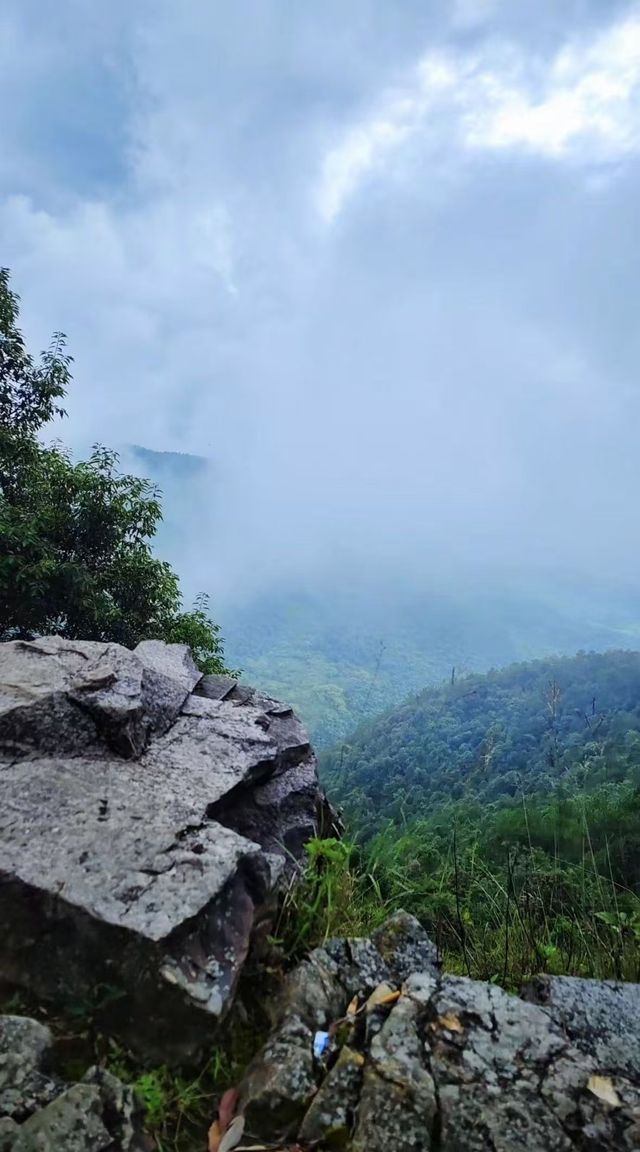 巍寶山-有氧之地。