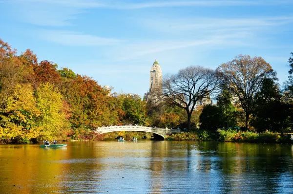 Autumn in New York City 🍂