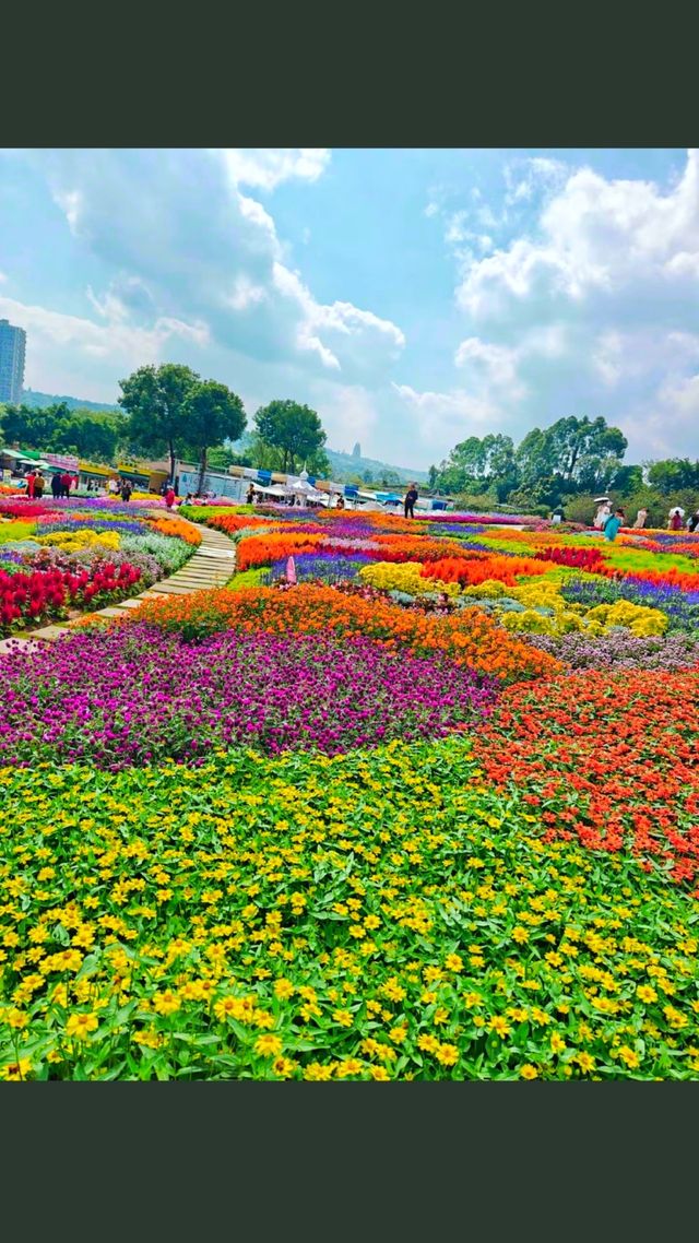 成都美麗的花莊園。