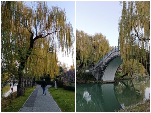 荷花池公園冬日漫步