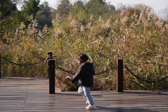 西溪濕地公園