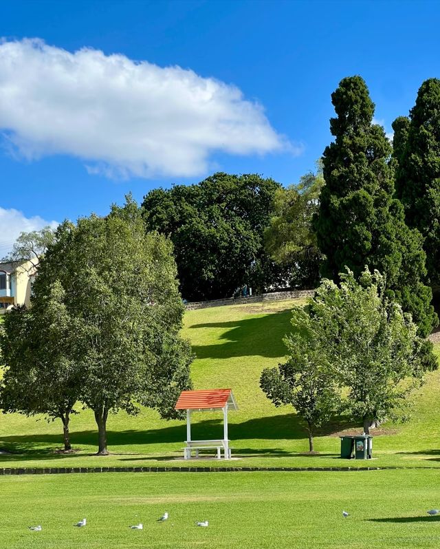 Geelong | 邂逅天藍海藍的極致浪漫