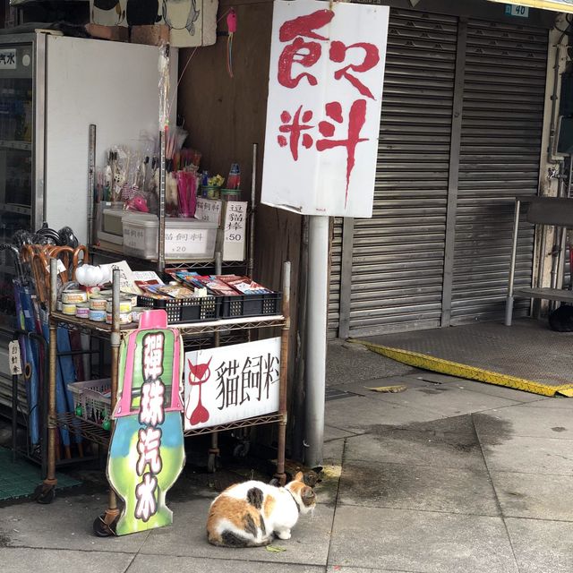 Cat Village - Houtong near Taipei 🐈 🐱 🐈‍⬛