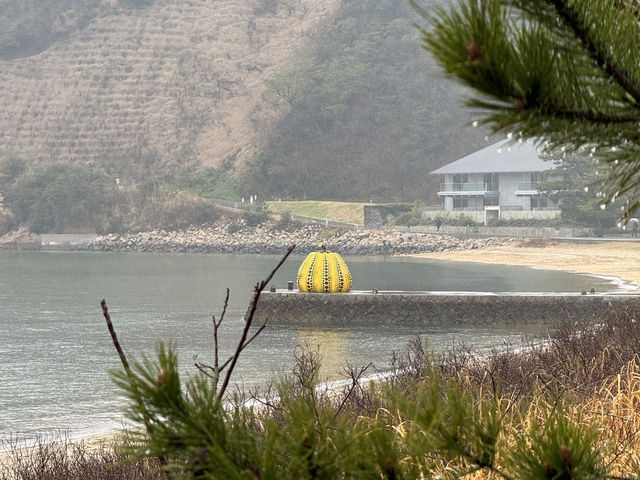 直島藝術之地：南瓜藝術，拍照必備