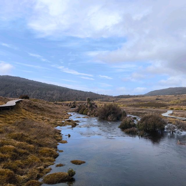 Tasmania Cradle mountain 