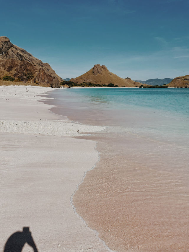 3 Days Sailing Through Komodo Islands: A Journey into Nature’s Wildest Wonders