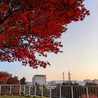 盛岡城跡的紅葉與日出，紐時評選必訪的城市第二名