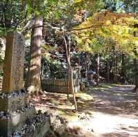 〔書寫山健行登山〕融合自然與歷史的全感體驗