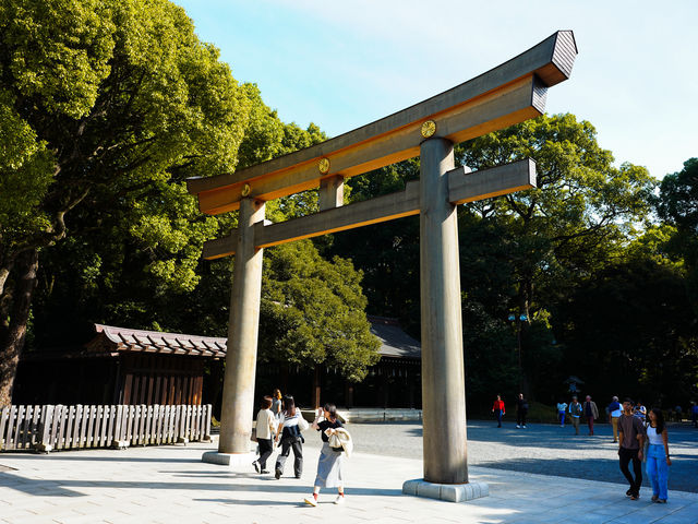 ⛩ 明治神宮 | 旅遊時刻🌳