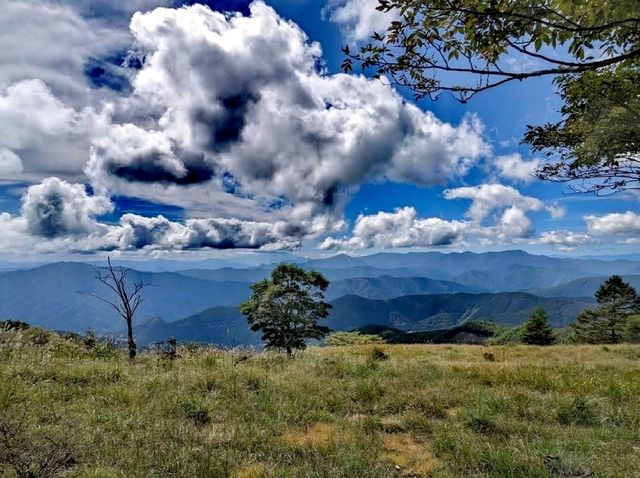 鷹之山