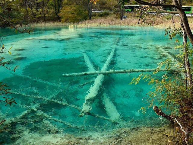 Huohuahai to Shuanglonghai [Must-visit places in Jiuzhai Valley National Park] 