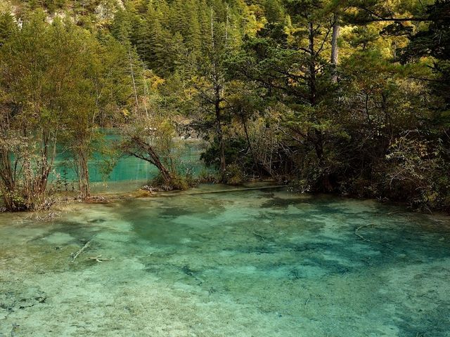 Huohuahai to Shuanglonghai [Must-visit places in Jiuzhai Valley National Park] 