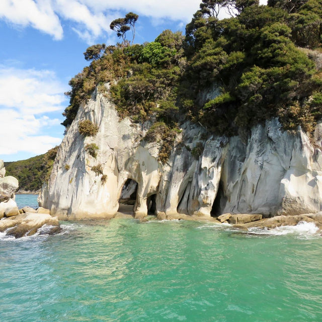 Unleashing Wonder in Abel Tasman