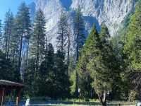 Yosemite National Park 🇺🇸